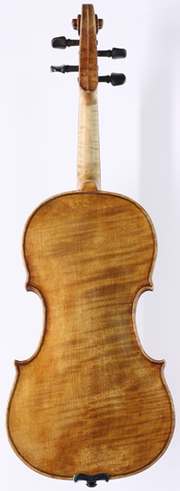 violin back
