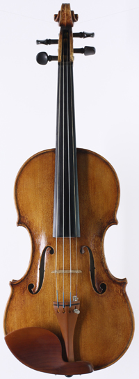 violin front