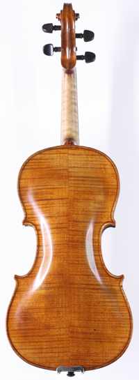 violin back