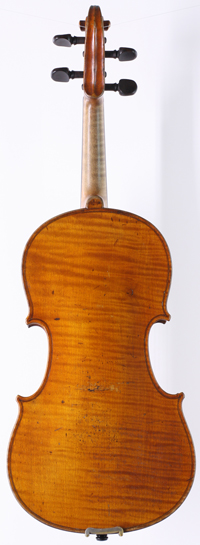 violin back