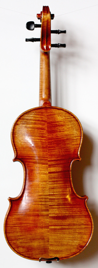 violin back