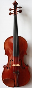 violin front