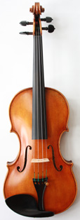violin front