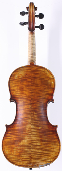 violin back