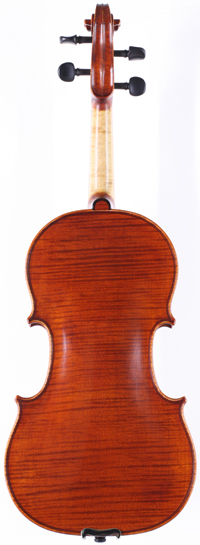 violin back