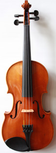 violin front