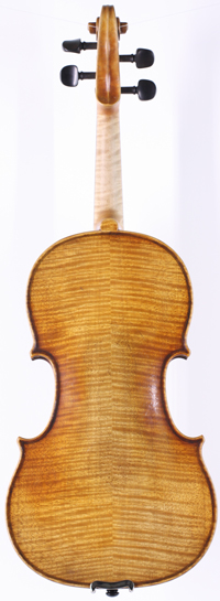 violin back