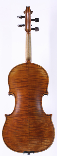 violin back