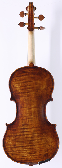 violin back