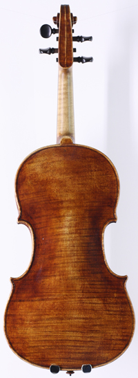 violin back
