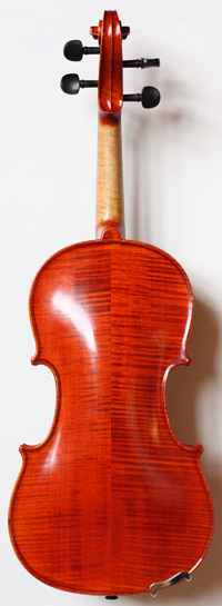 violin back