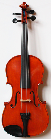 violin front