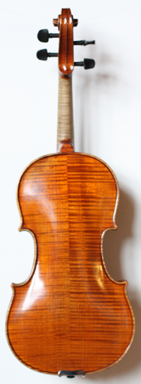 violin back