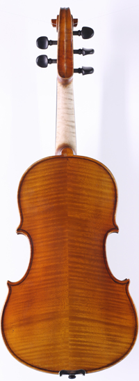 violin back