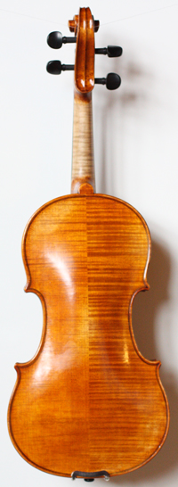 violin back
