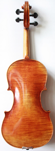 violin back