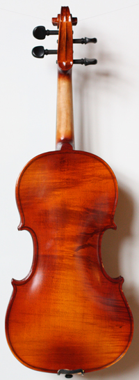 violin back