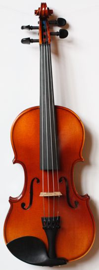 violin front