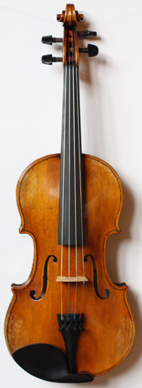 violin front
