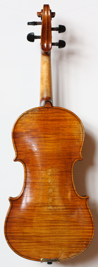 violin front
