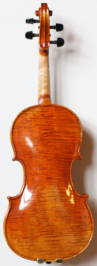violin back