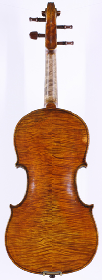 violin back