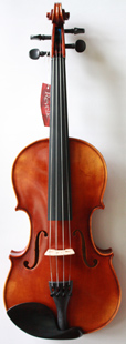 violin front