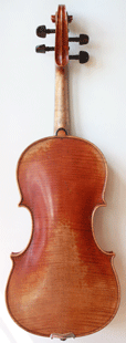 violin back