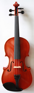violin front