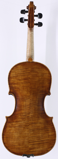 violin back