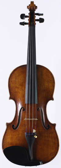 violin front