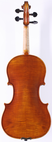 violin back