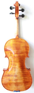 violin back