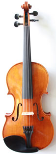 violin front