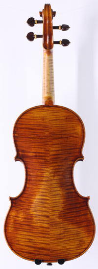 violin back