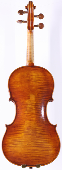 violin back
