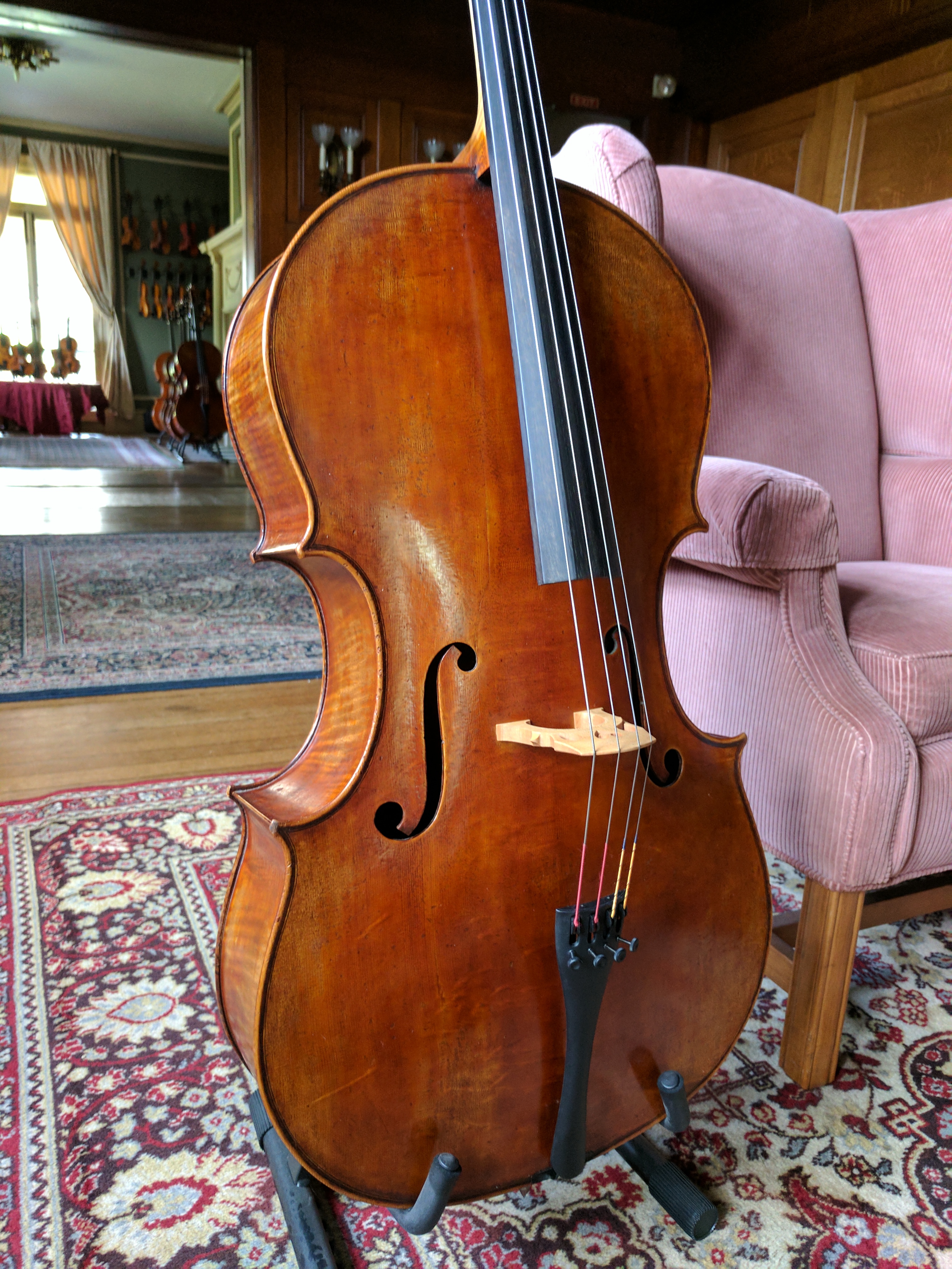 Our Cellos Seery Strings